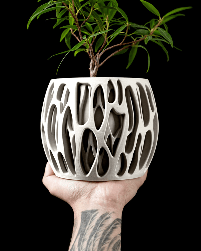 Corallium